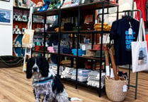 Sponsored - Salty Spaniel shop opens in Saundersfoot