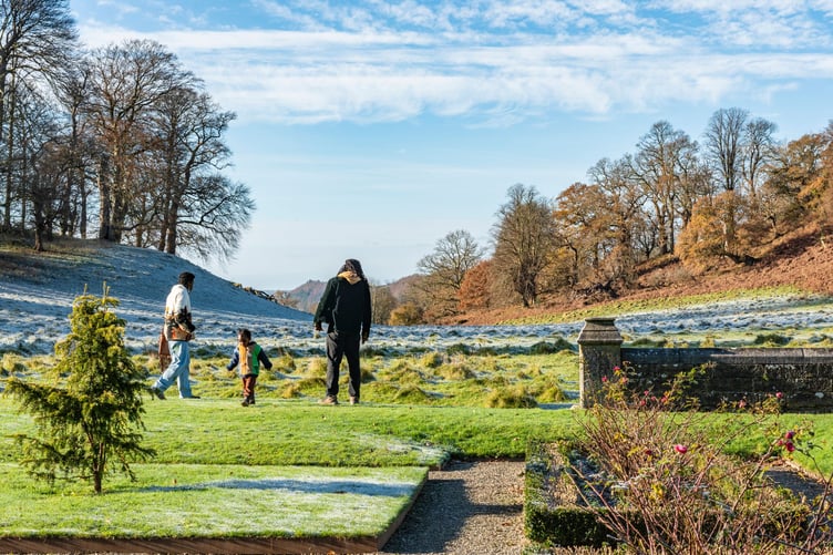 Visitors exploring the formal garden at Christmas time, Dinefwr, Carmarthenshire