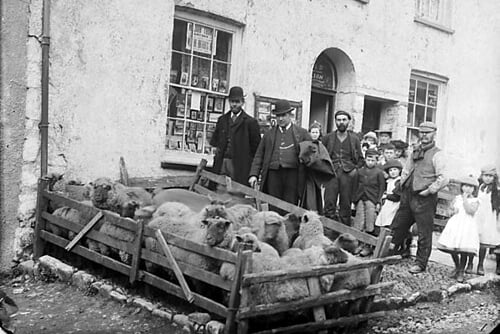Sheep market in Narberth