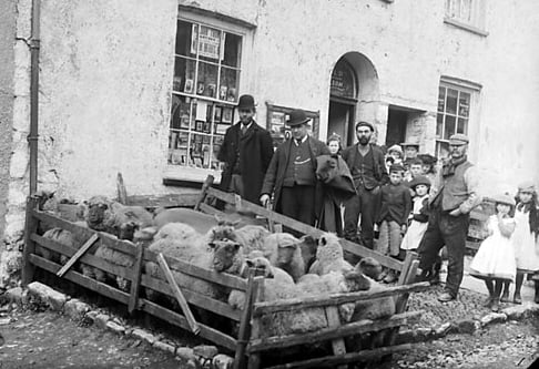 Sheep market in Narberth