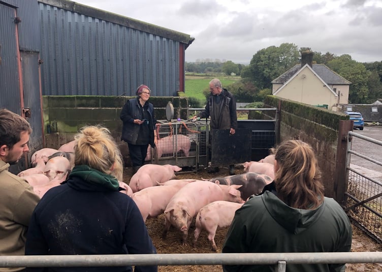 Masterclass training session with Young Farmers Club members
