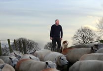 Welsh farmer warns antibiotic resistance is a risk to human health