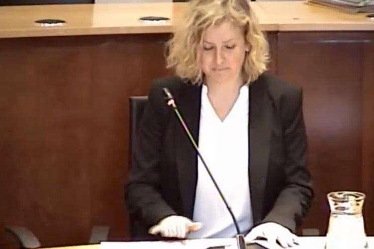 An application for a One Planet Development by award-winning artist and potter Teresa Greenway at Broad Oak Farm, Martletwy was approved by planners.