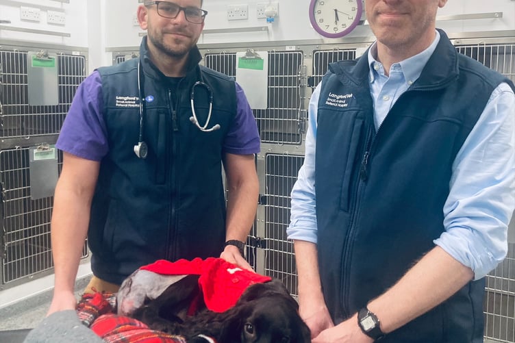 Ariel pictured post-op with surgeons Aaron Lutchman and Ed Friend.