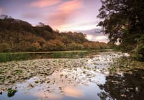 National Trust's solar parking meters approved for Pembrokeshire sites