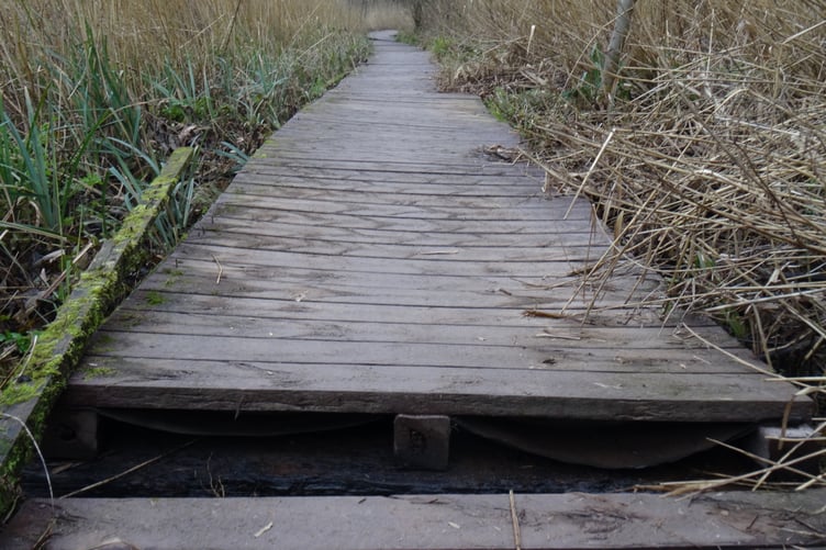 Damage to Holyland Wood Boardwalk, Pembroke