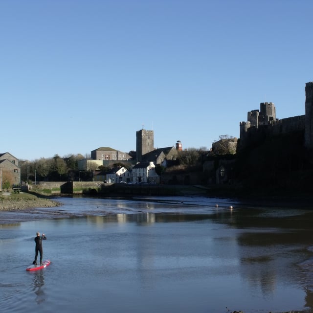 Pembroke Mill Pond wildlife targeted in cruel catapult attacks