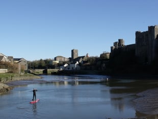 Pembroke Mill Pond wildlife targeted in cruel catapult attacks