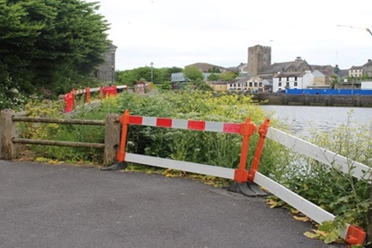Pembroke Castle pond railings