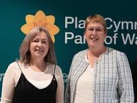 New opinion poll show Plaid Cymru taking Carmarthen