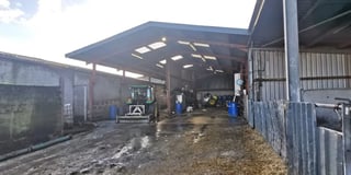 Retrospective plans for shed at Pembrokeshire dairy farm approved