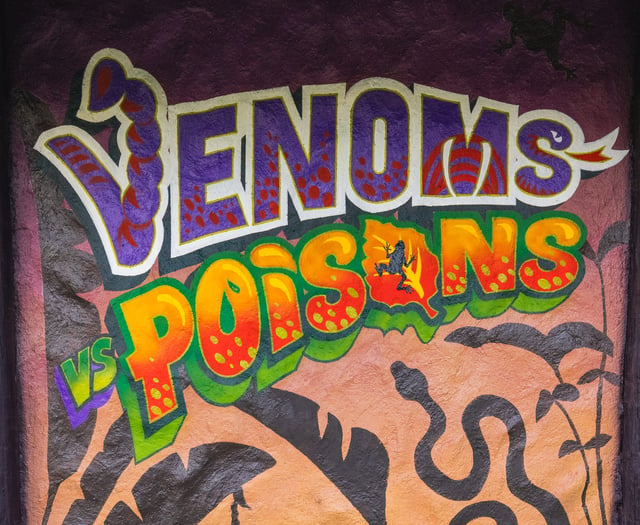 WATCH: A sneak peek at Folly Farm’s 'venomous' new zoo exhibit