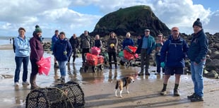 'Hardy souls' get stuck into Saundersfoot spruce-up