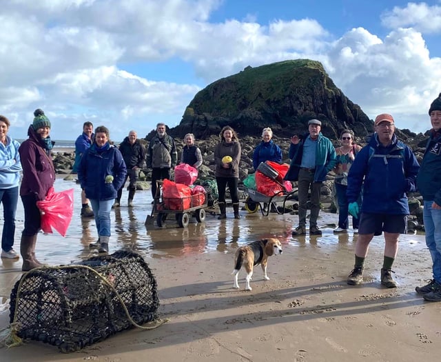 'Hardy souls' get stuck into Saundersfoot spruce-up