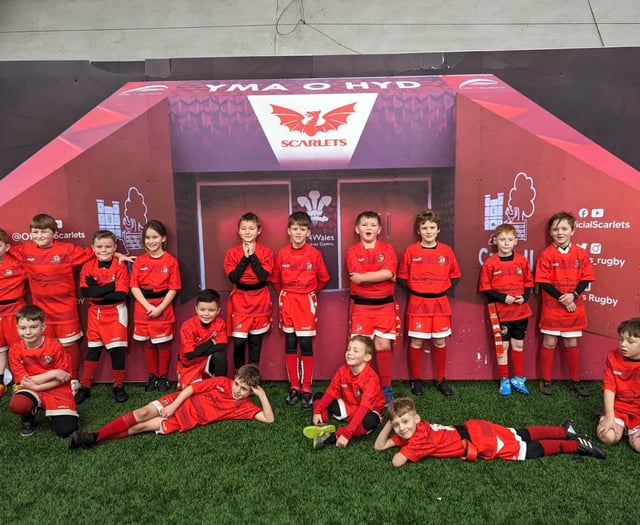 Busy weekend for Pembrke RFC's youth teams