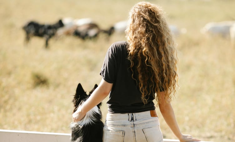 Dog with owner, watching lambs