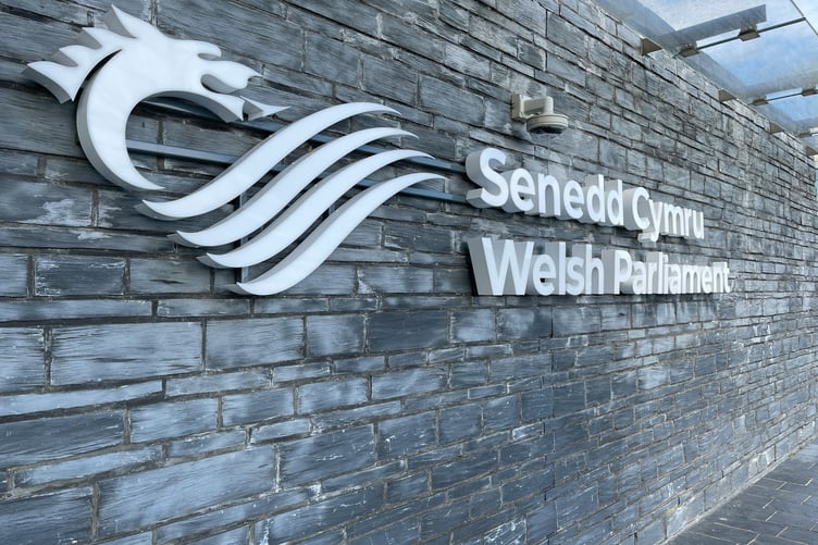 Senedd