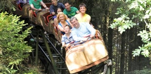 No further action taken following Oakwood 'Treetops' ride incident
