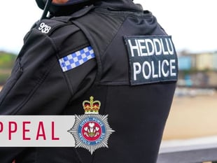 Man arrested following Tenby collision