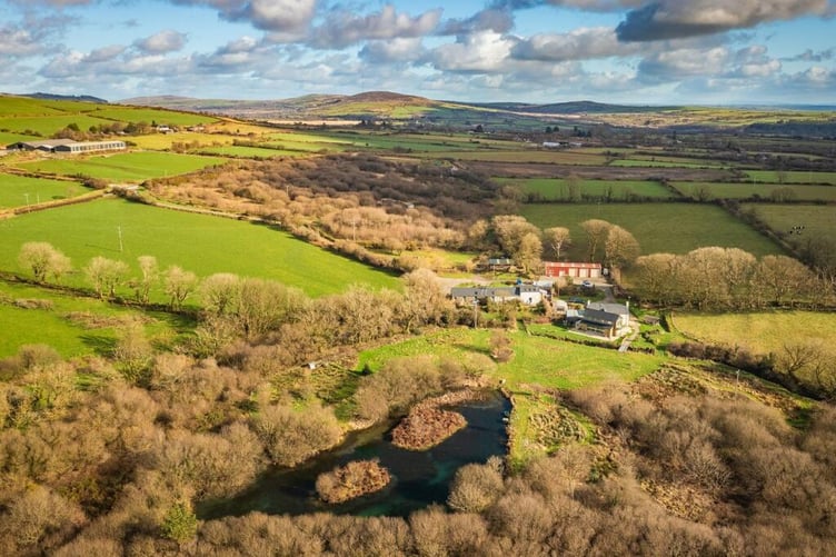 blaenllechog