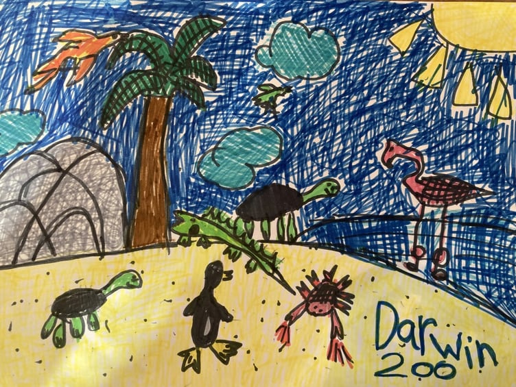 Darwin Doodle by Maybelle, age 6, of Templeton