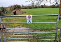 Village committee warns ‘irresponsible owners’ over dog fouling