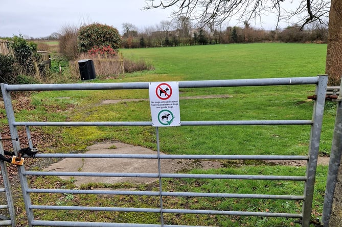 New hedges dog sign