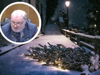 Council’s Christmas tree collection fee to come under the spotlight