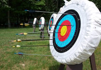 Retrospective plans for axe-throwing and archery approved