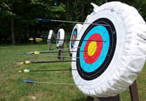 Retrospective plans for axe-throwing and archery approved