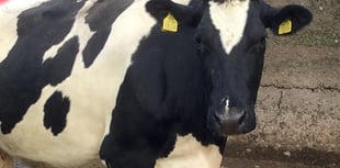 Substantial fines for Pembrokeshire farming family