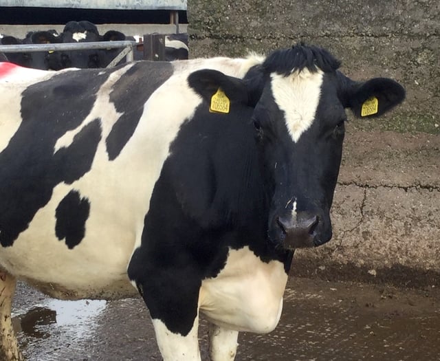 Substantial fines for Pembrokeshire farming family