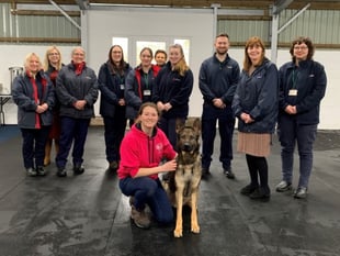 Animal Welfare Teams delivering across Wales