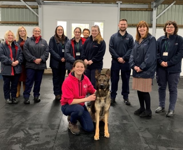 Animal Welfare Teams delivering across Wales