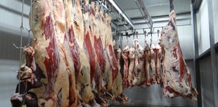 CCTV set to become mandatory in abattoirs across Wales