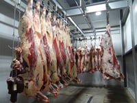 CCTV set to become mandatory in abattoirs across Wales