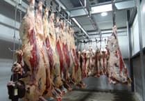 CCTV set to become mandatory in abattoirs across Wales