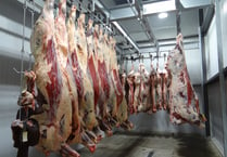 CCTV set to become mandatory in abattoirs across Wales