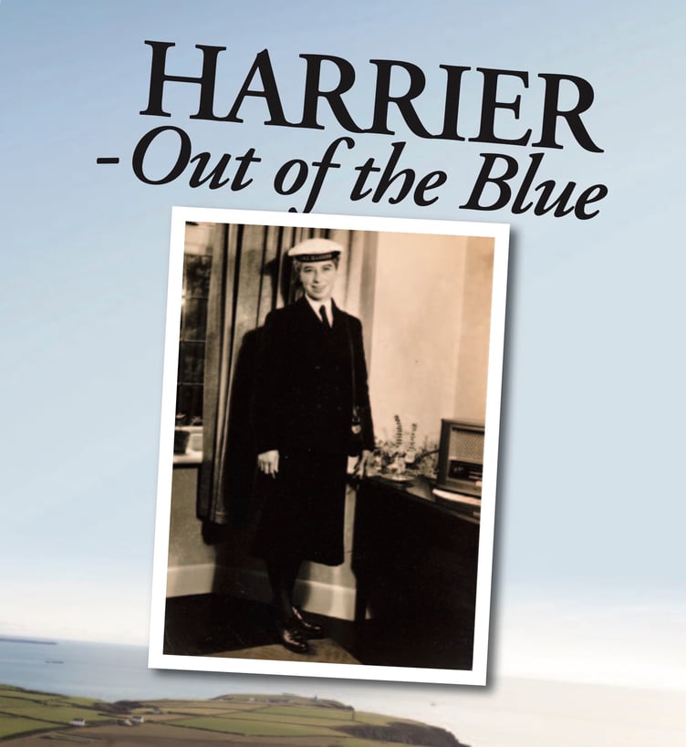 HARRIER - Out of the Blue (Reflections from a windswept cliff top) by Pamela Jean Haines