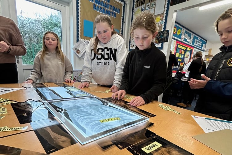 Monkton Priory CP students examining X-rays and identifying the different bones.