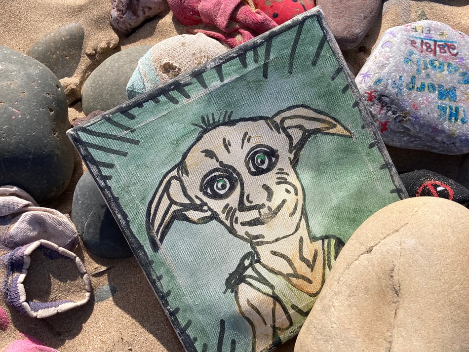 Fans save Dobby's grave from power project