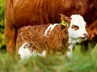Councillors back farm plans