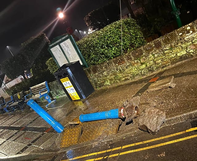 CCTV captures delivery driver leaving scene after causing damage