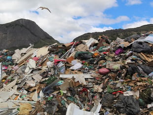 Community shoudn't have to 'endure these awful odours any longer'