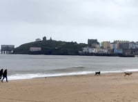 Palm oil warning for pooch owners in Pembrokeshire