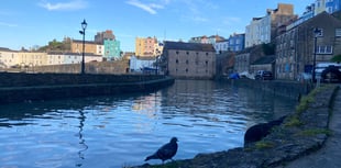 Council urged again to review neglected harbour sluice