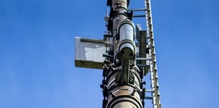 Near-70-foot-high 4G telecommunications tower scheme backed