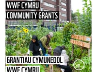 WWF Cymru Community Grants