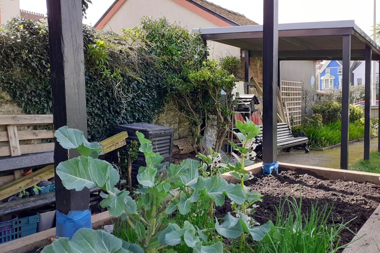 Tenby Community Garden