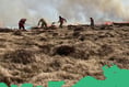 Be Wildfire Wise this summer